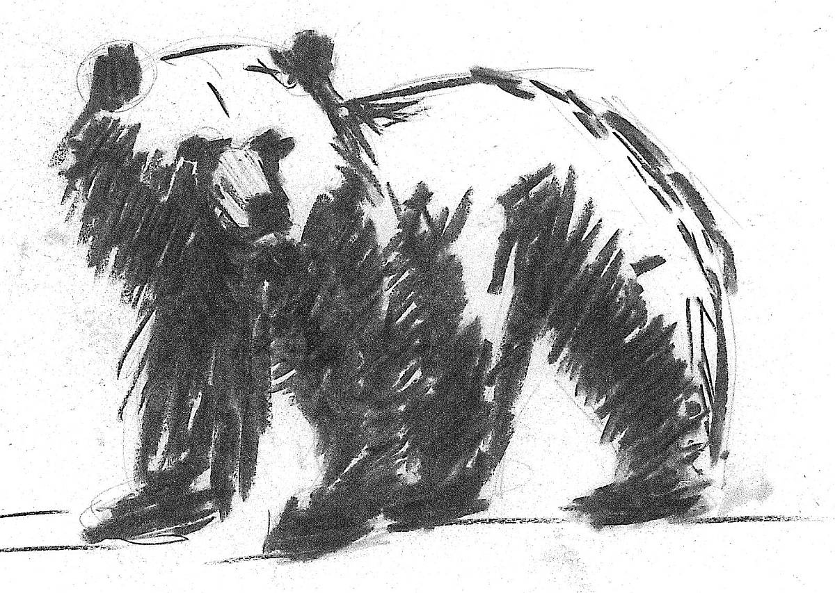 Bear with charcoal